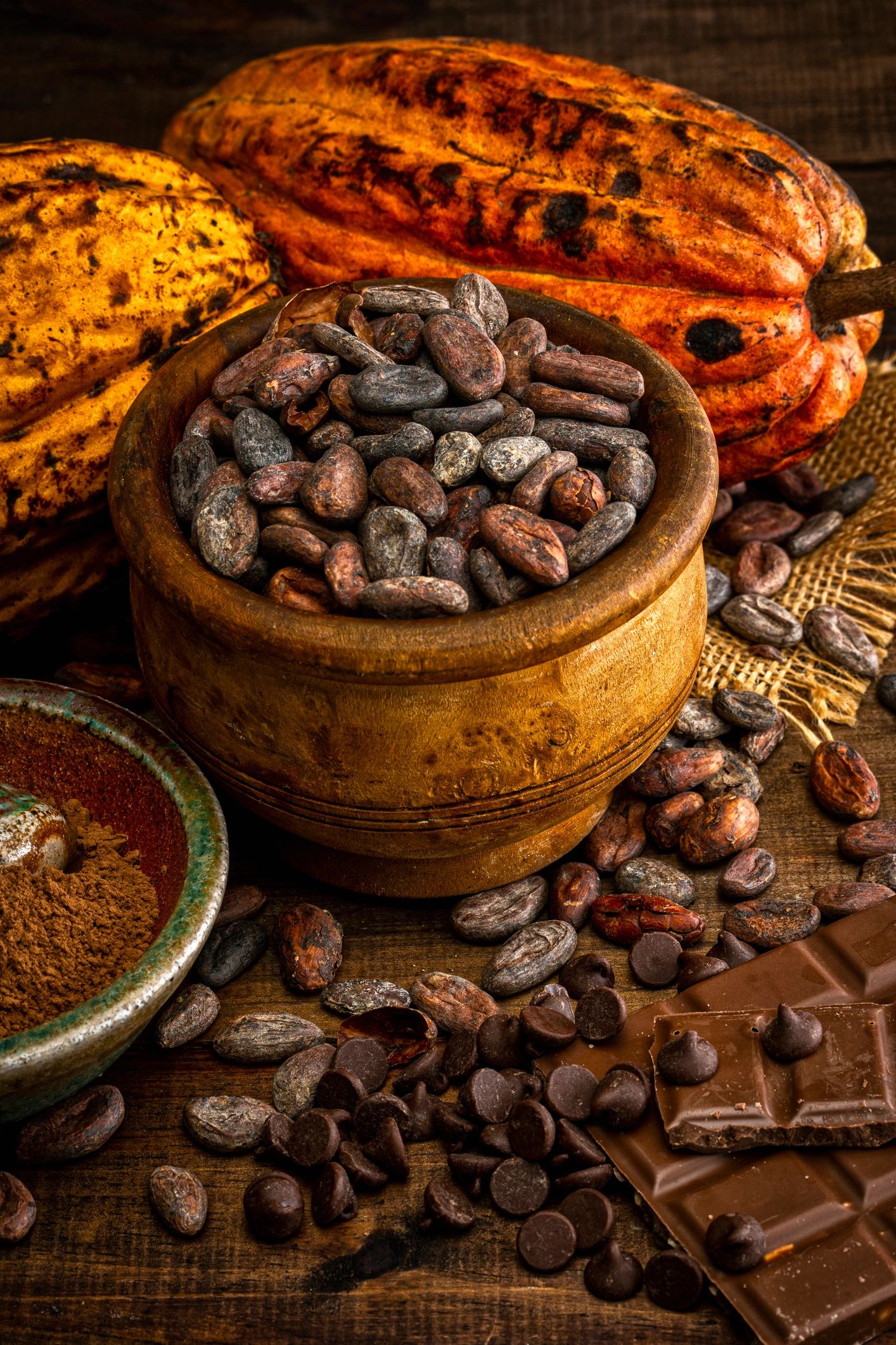 Artisan Chocolate Bars